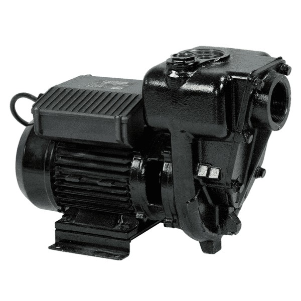 Насос PIUSI Panther E300M (300л/мин) 220В,2"